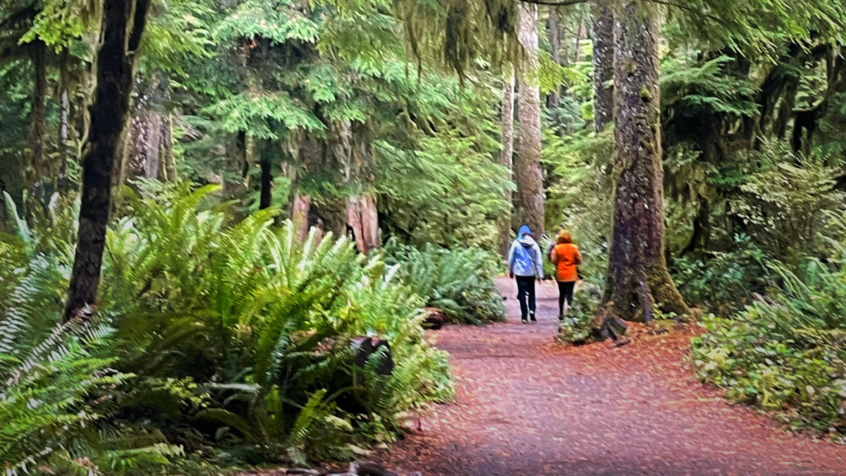 Two adults walking along a wooded path, viewed from a distance.