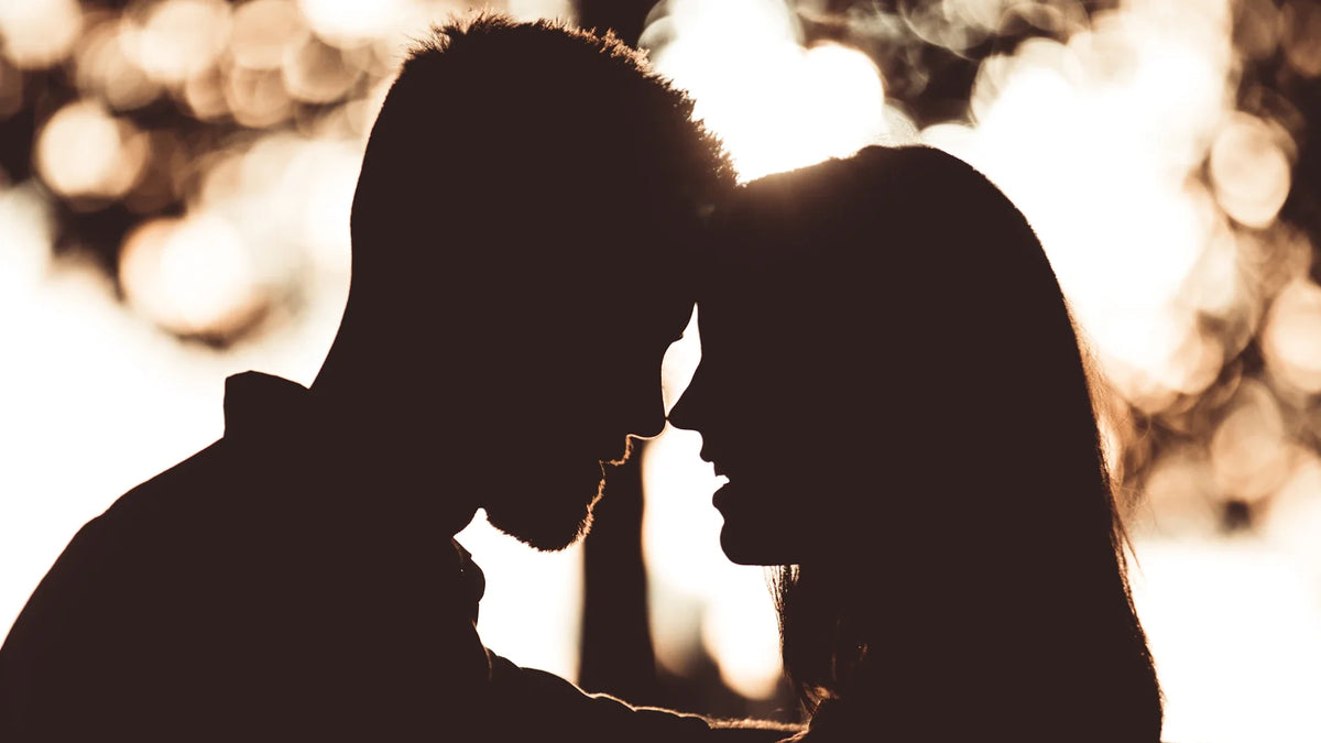 Adult companions silhouetted outdoors.