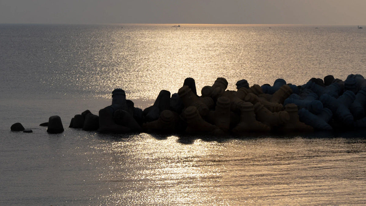 A rocky shoreline beneath soft evening light.