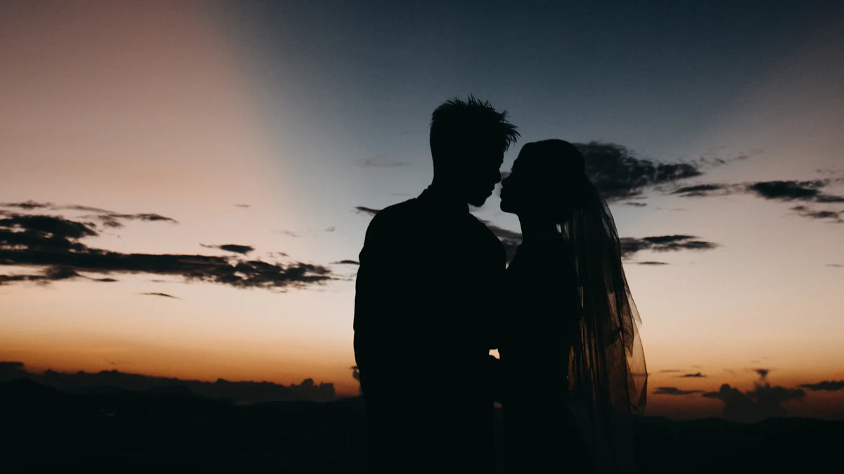 Adult companions silhouetted together outdoors.