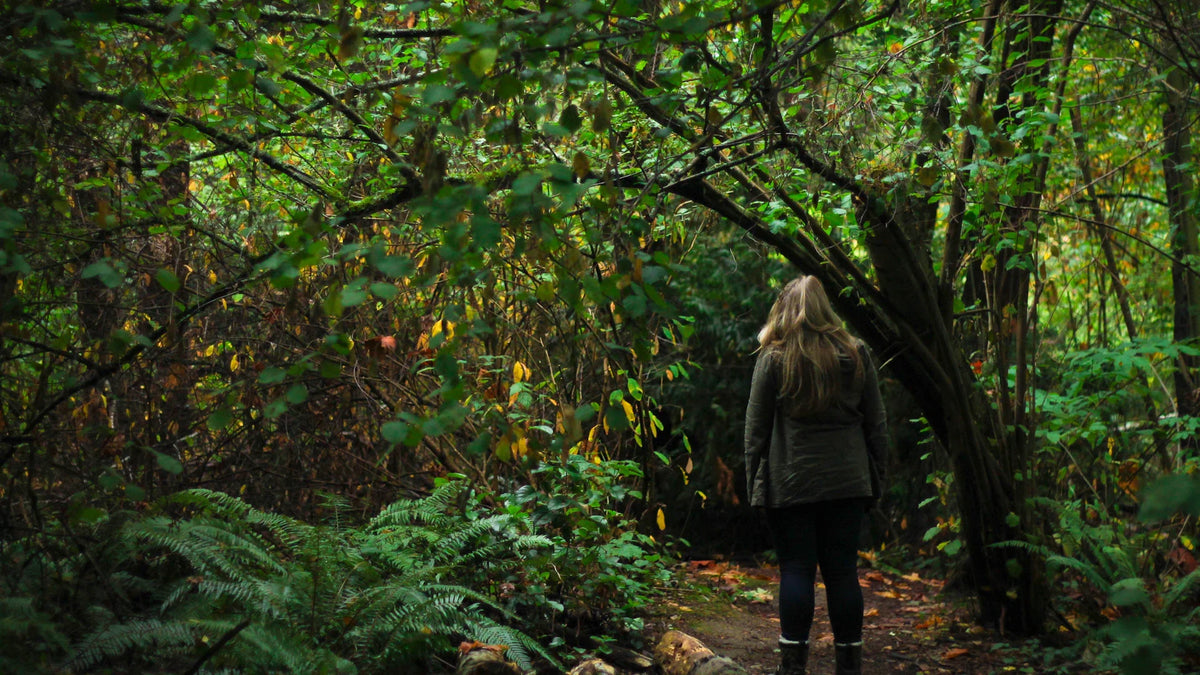 A woman viewed from behind explores a forest.