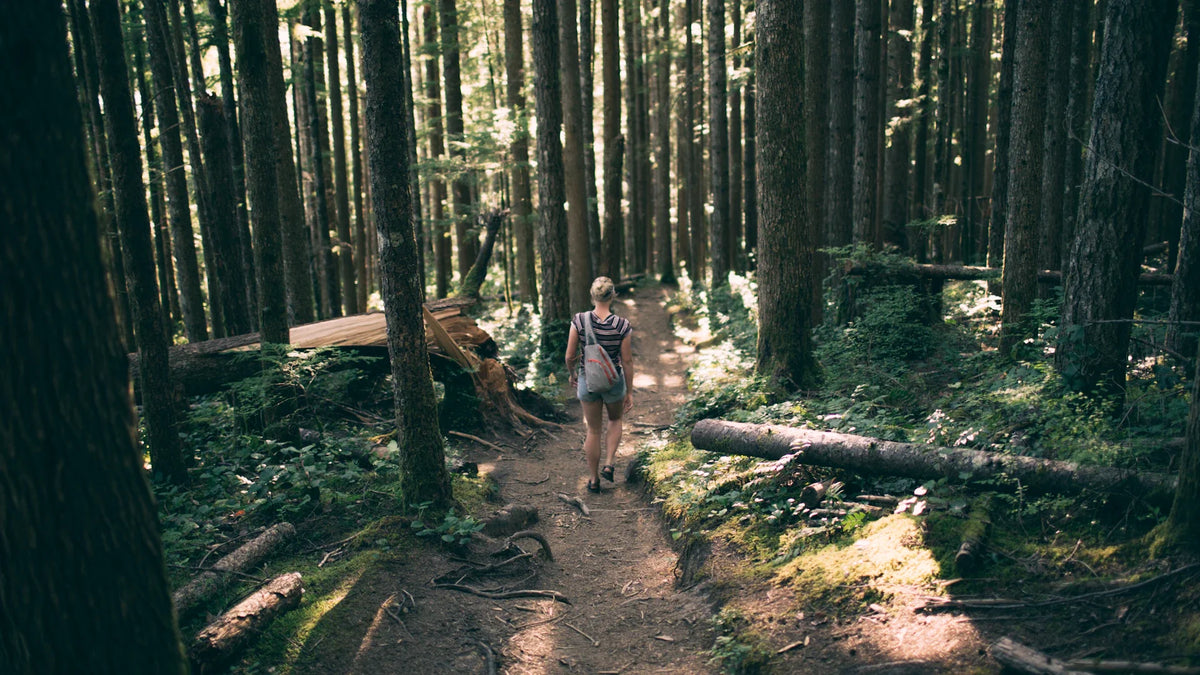A woman walking beneath tall trees.