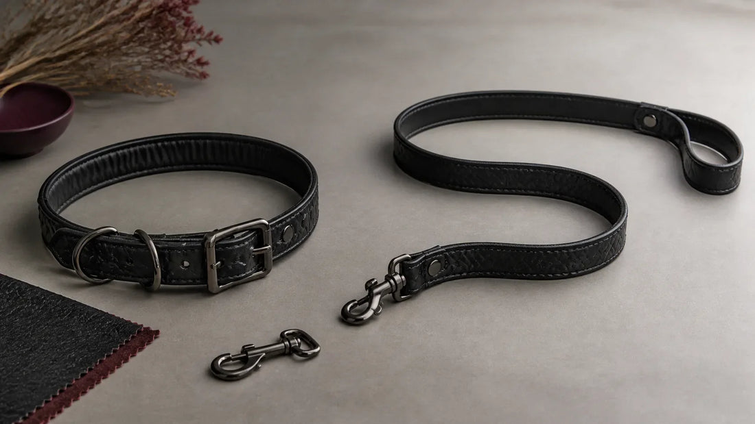 Open black adult fashion collar beside a matching detachable leash arranged with slack on a studio surface