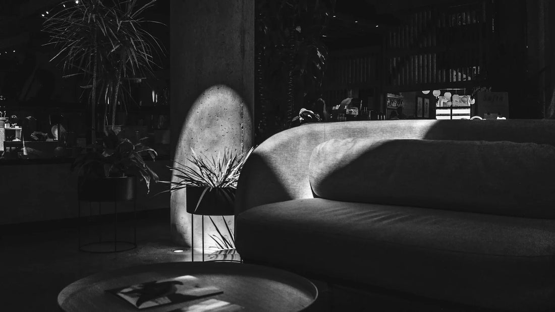 Sunlight across an empty sofa and a quiet living room.