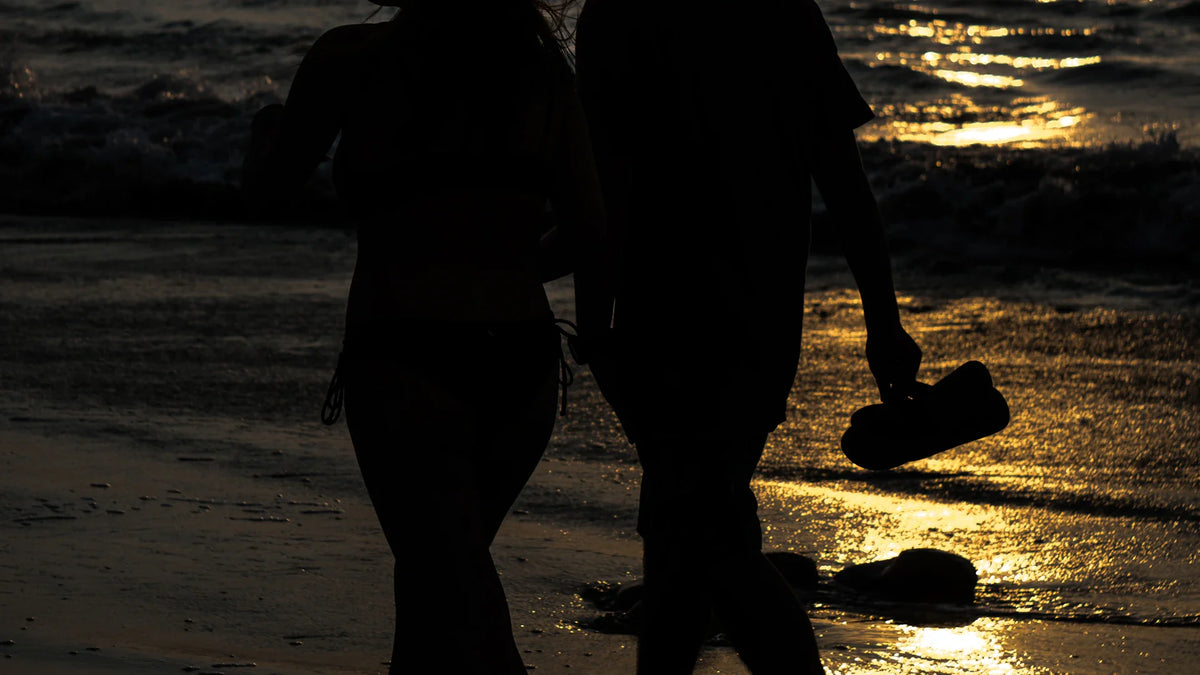 Adult companions silhouetted outdoors.