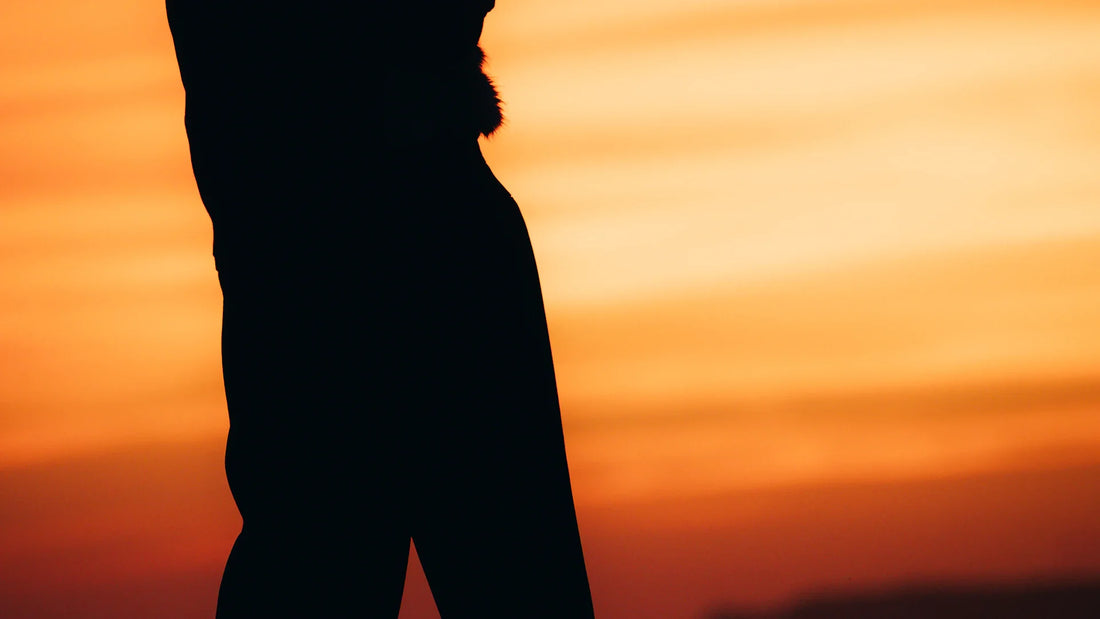 A dark silhouette against a sunset sky.