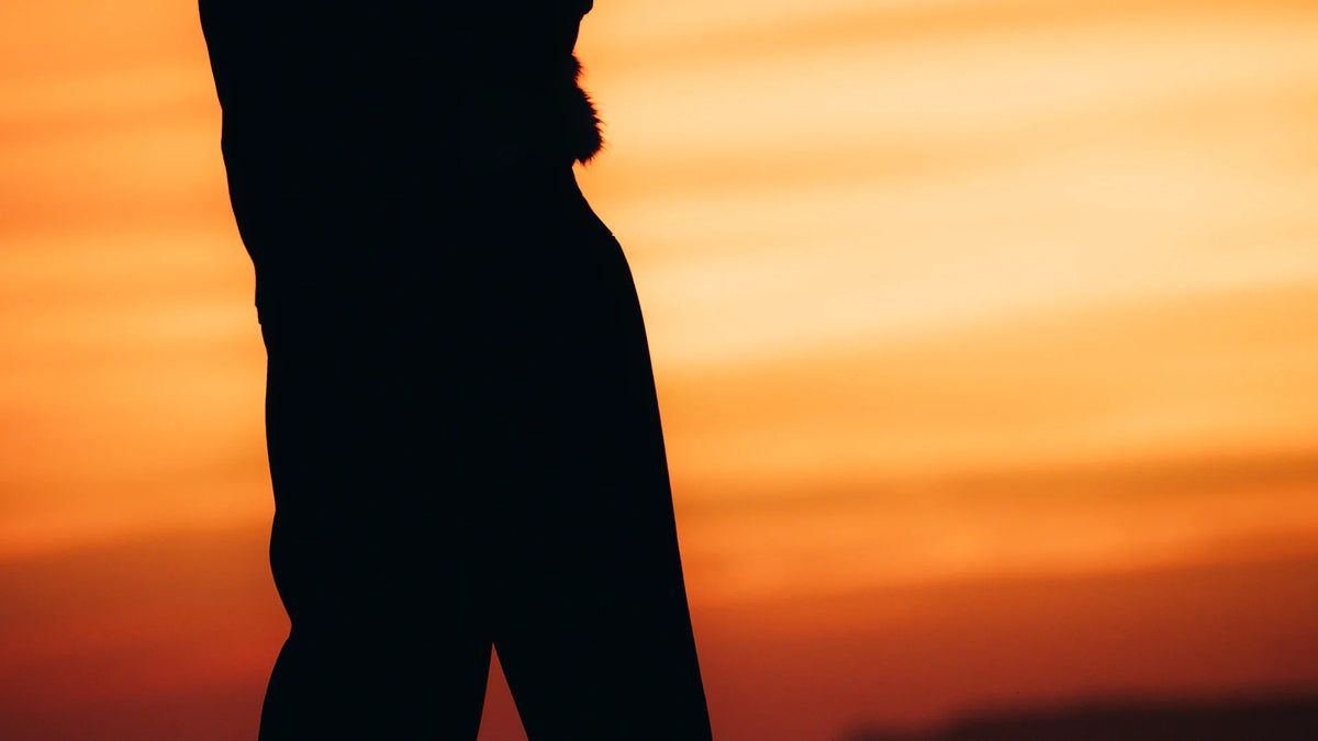 A dark silhouette against a sunset sky.