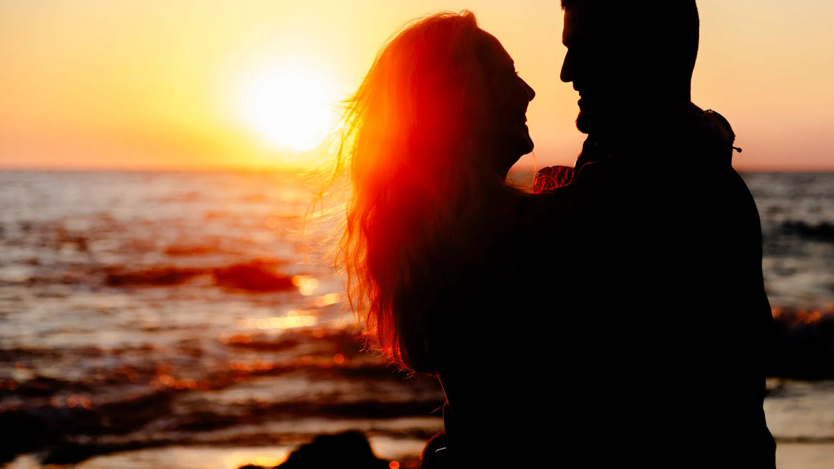 Adult companions silhouetted against the evening sky.