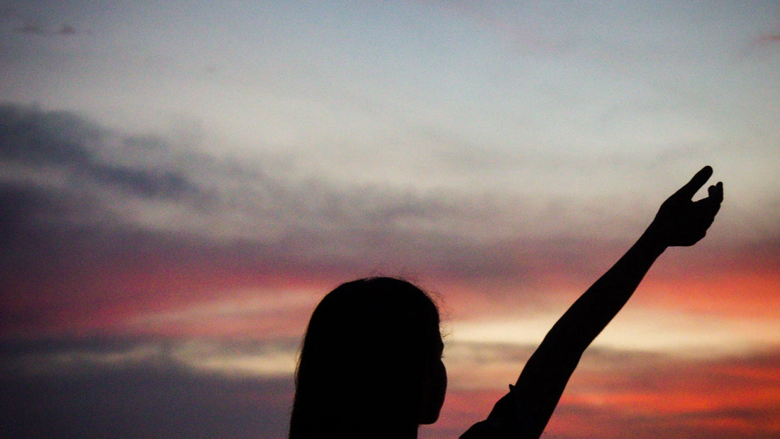 An adult woman silhouetted against the evening sky.