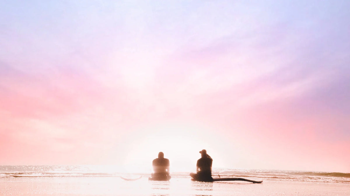 Adult companions silhouetted together outdoors.