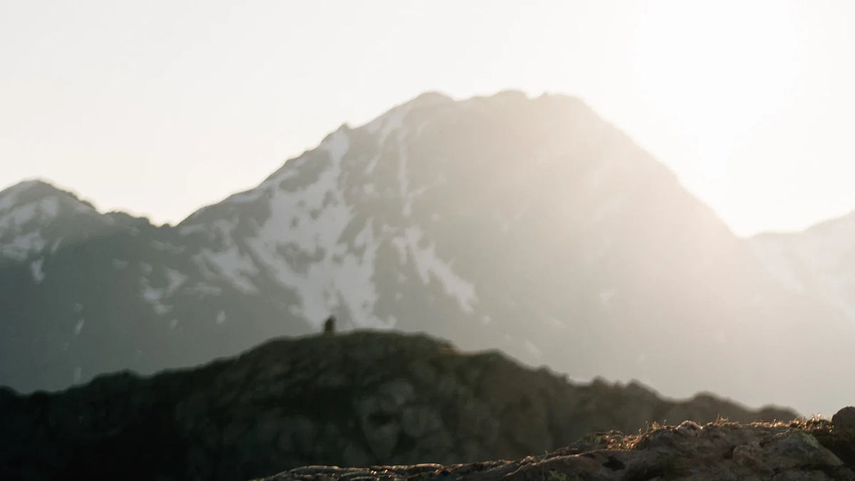 Mountain peaks beyond a rocky foreground.