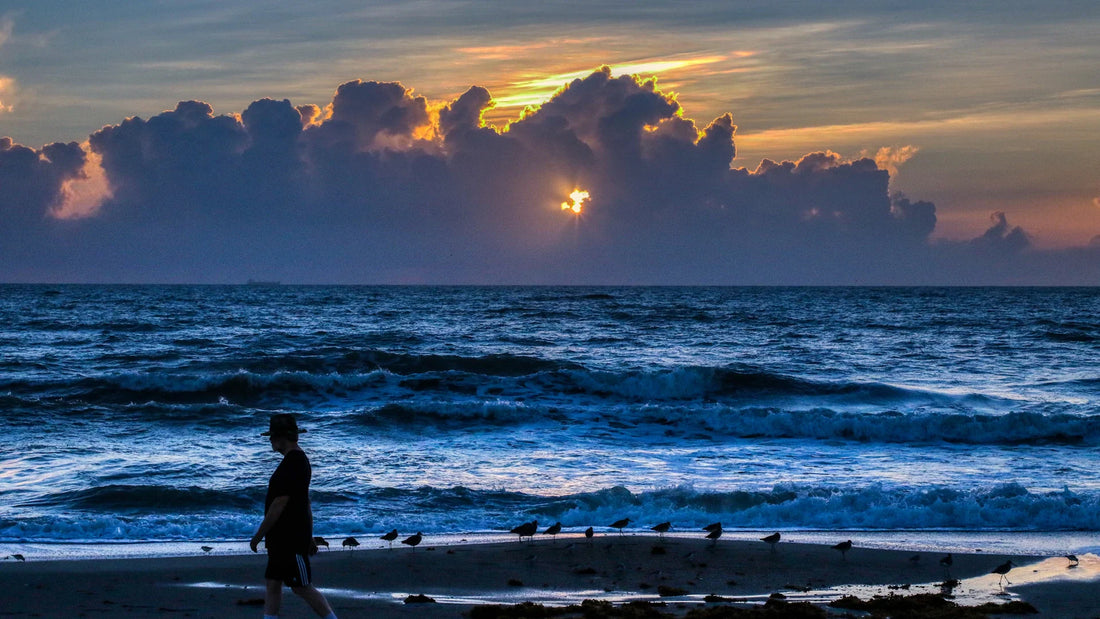 A person walking beside the sea at sunset.