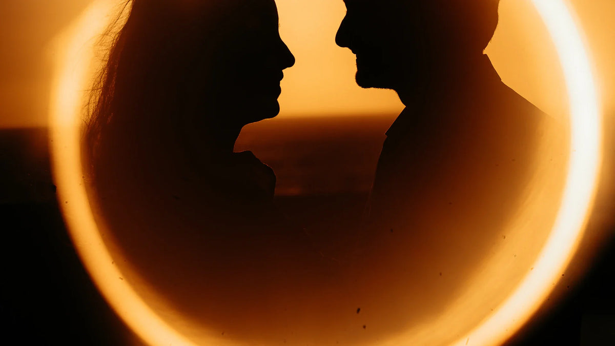 Adult companions silhouetted against the evening sky.