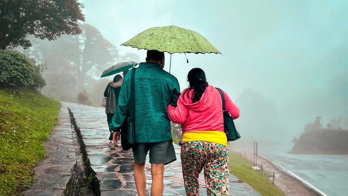 Two adults seen from behind walking beneath an umbrella.