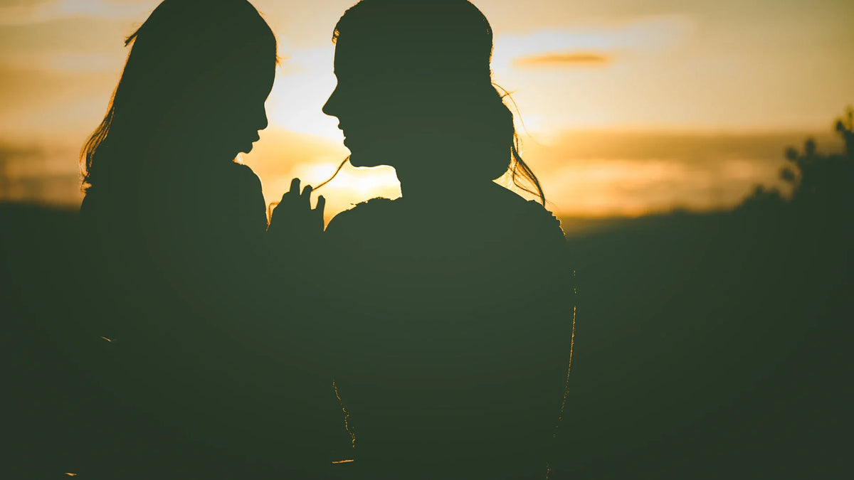 Adult companions silhouetted together outdoors.