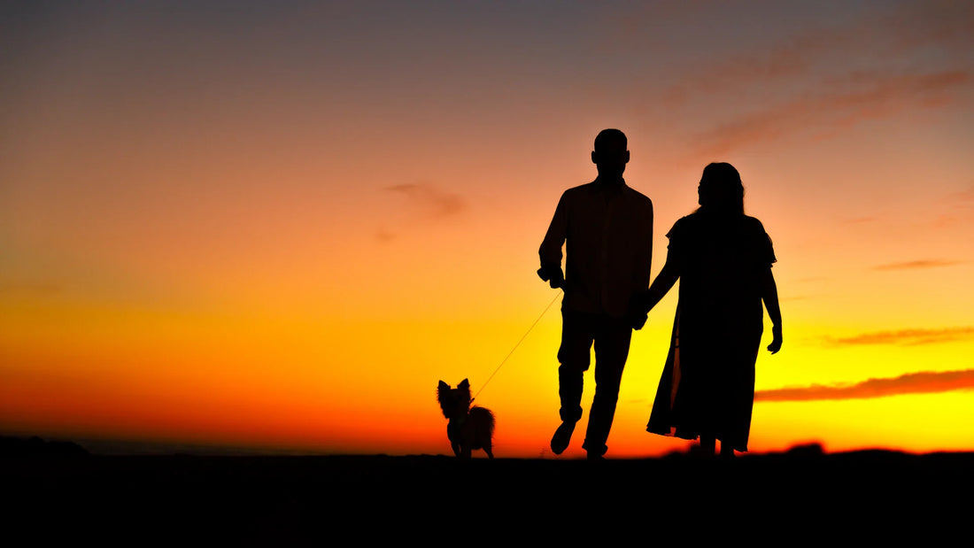 Adult companions silhouetted in evening light.