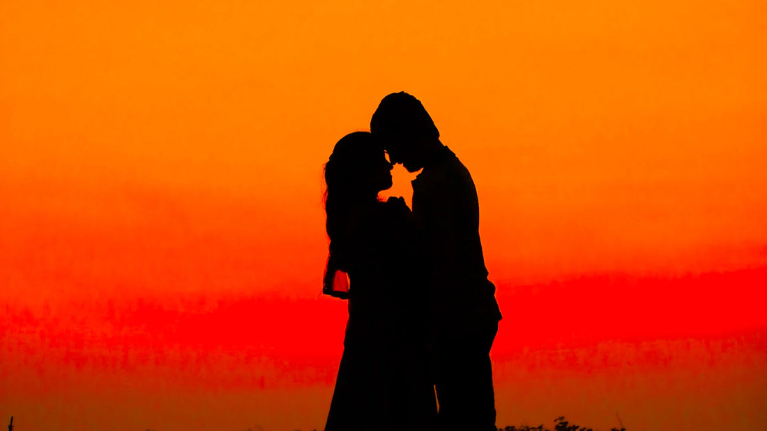 Adult companions silhouetted together outdoors.