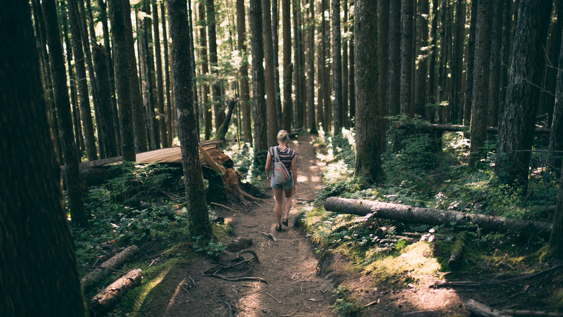 A woman walking beneath tall trees.