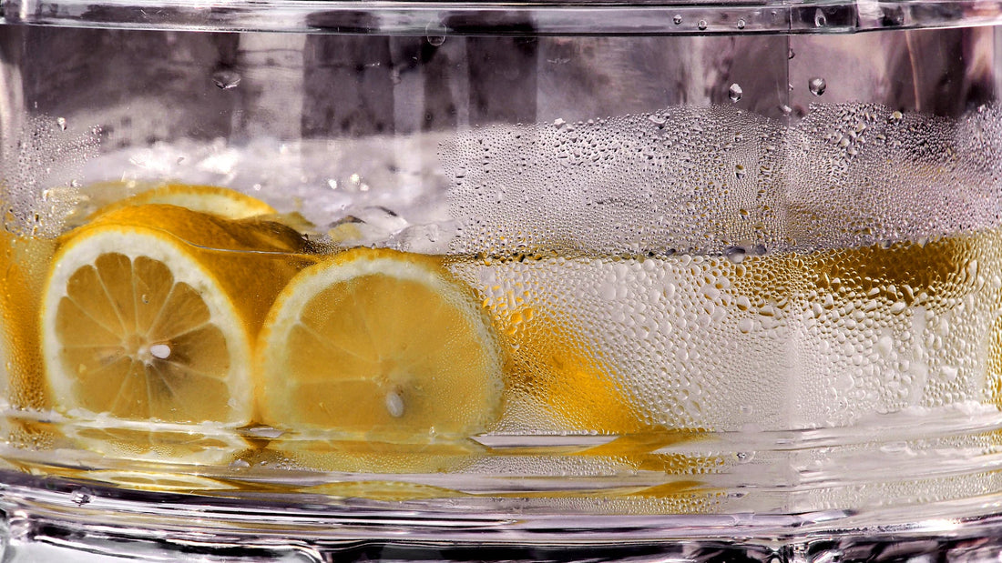 Lemon slices floating in water, an illustrative cover for a beginner guide.