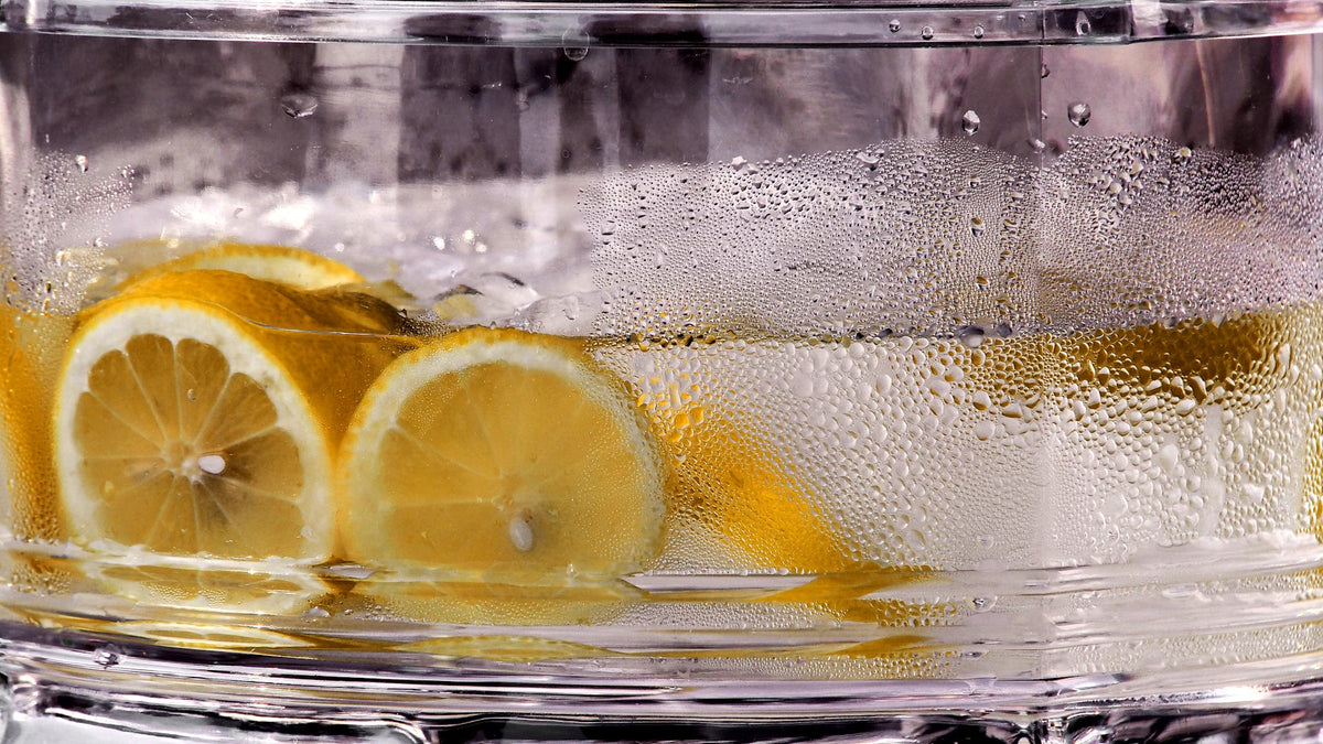 Lemon slices floating in water, an illustrative cover for a beginner guide.