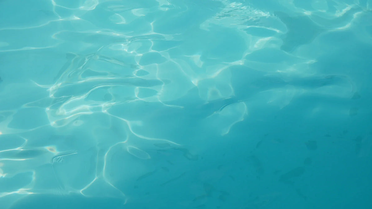 Sunlight reflected on rippling turquoise water.