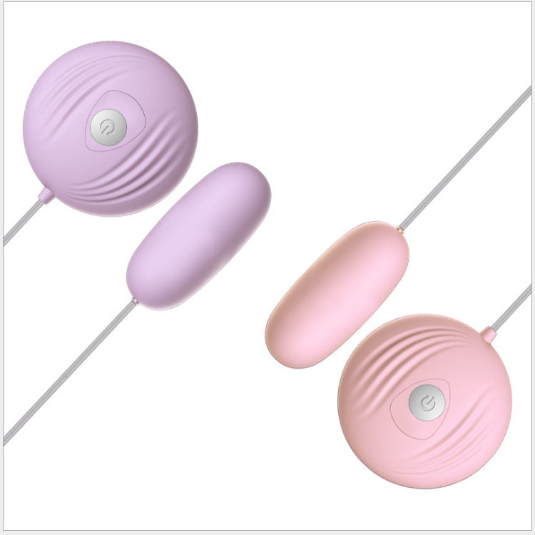 Egg Vibrator With Control