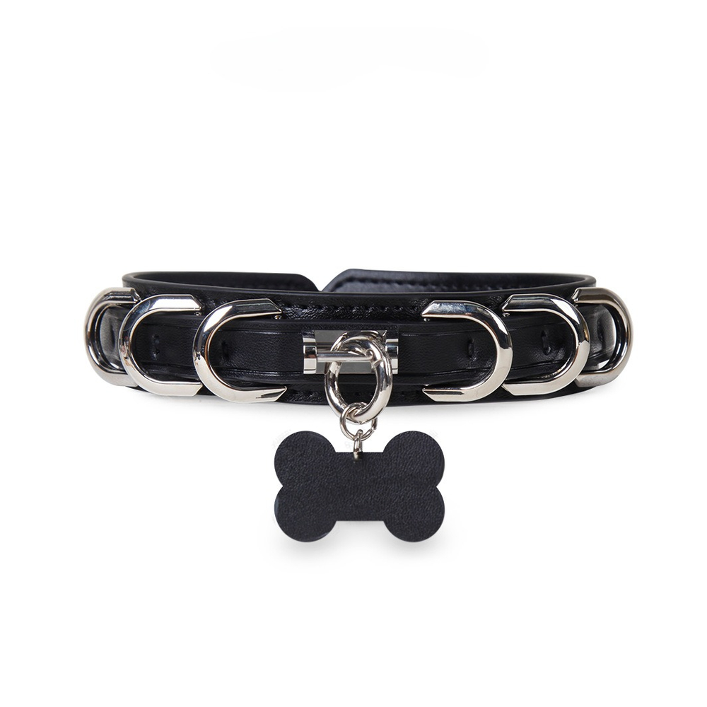 Bone-Tag Puppy Puppy Play Collar with Leash - product image 1