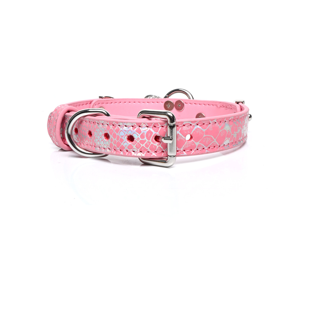 Puppy Bell Puppyboy Collar with Leash - product image 13