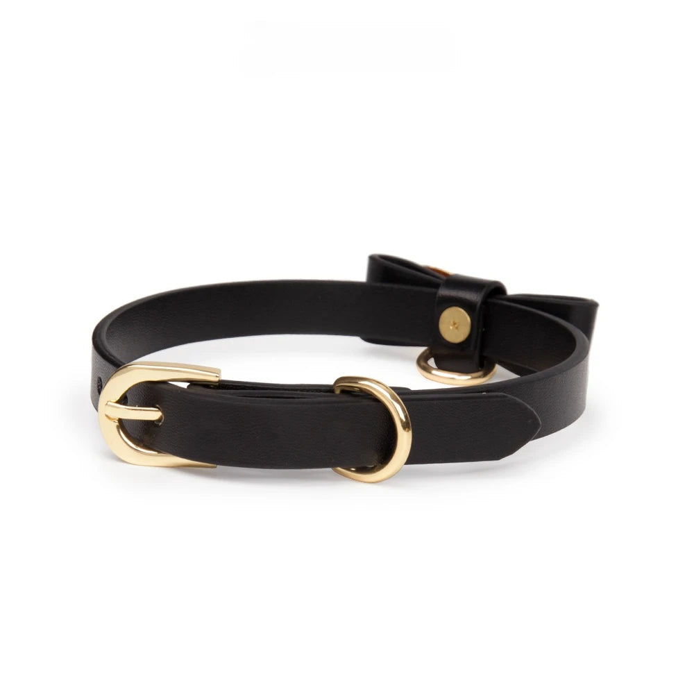 Metal Bow O-Ring BDSM O-Ring Collar with Leash - product image 7