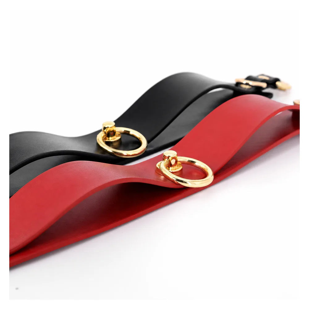 Wide Leather O-Ring Leather BDSM Collar with Leash - product image 2