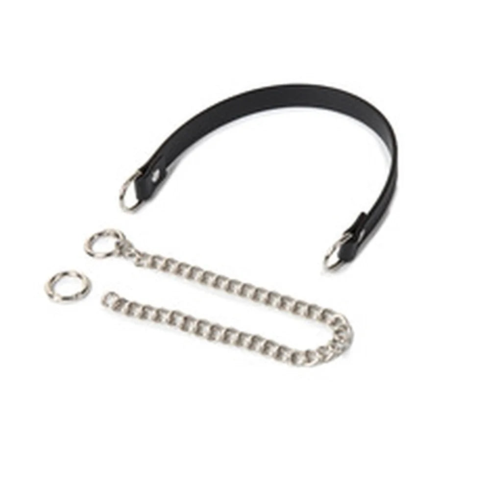 Chain-Leash O-Ring BDSM Collar and Chain Set - product image 2