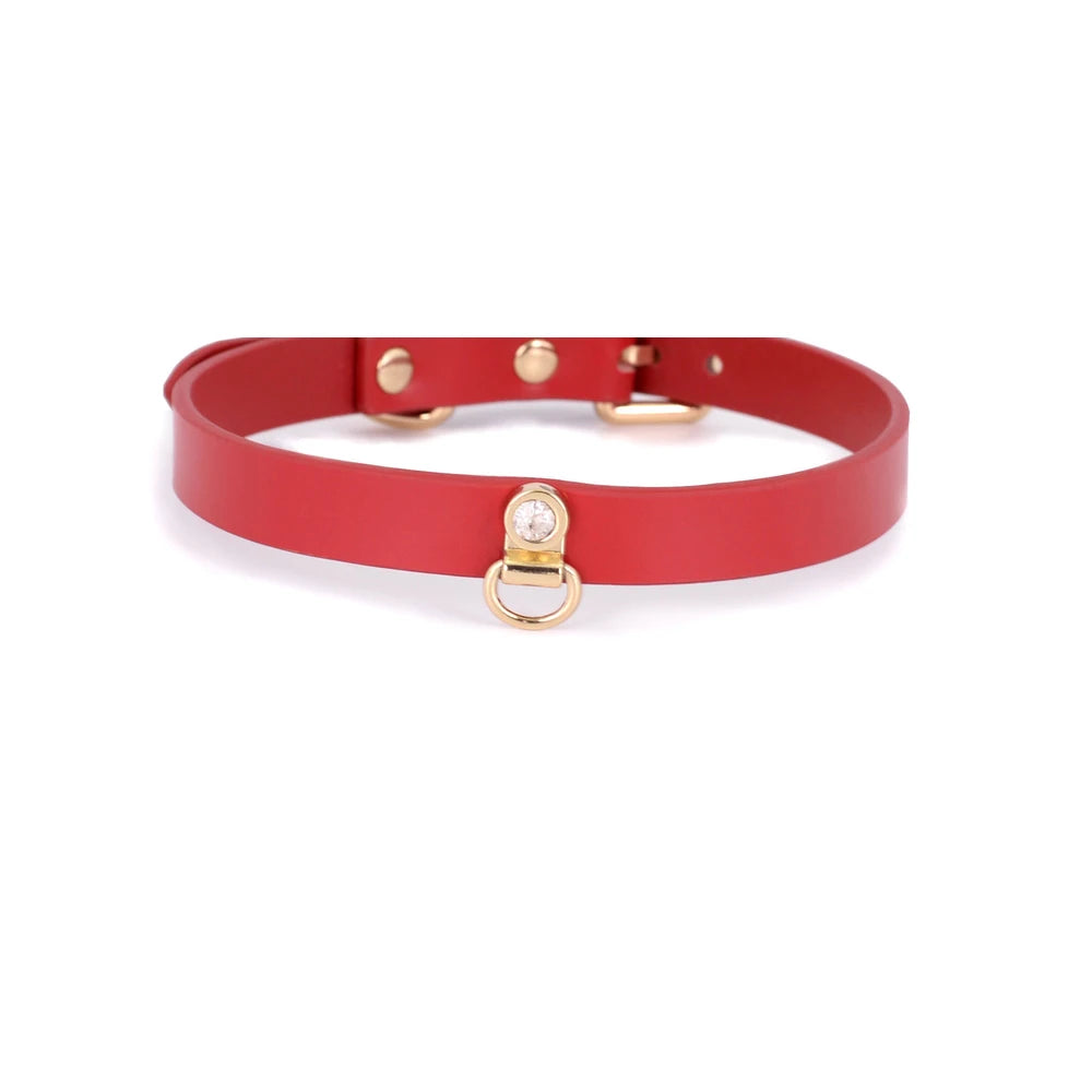 Minimal Choker Leather BDSM Choker with Leash - product image 3