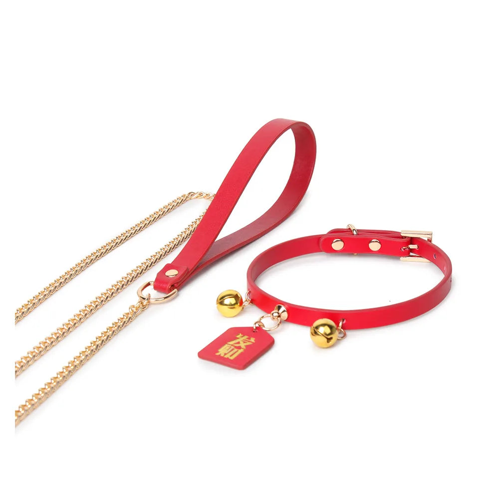 Talisman Charm Submissive Collar Necklace with Leash - product image 2