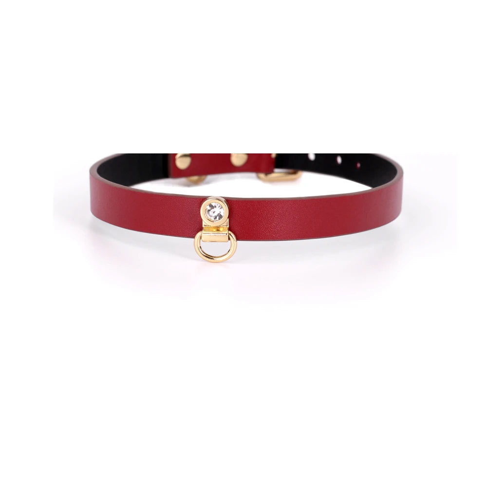Minimal Choker Leather BDSM Choker with Leash - product image 5