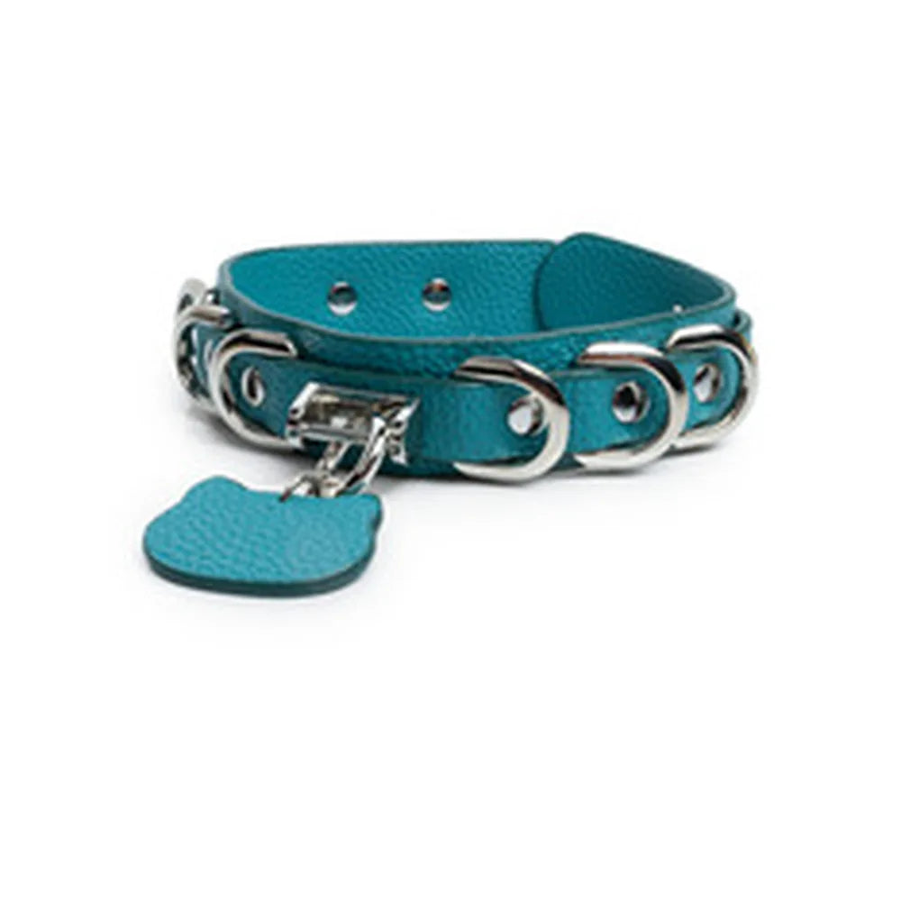 Engravable Cat-Tag Kitten Pet Play Collar with Leash - product image 2