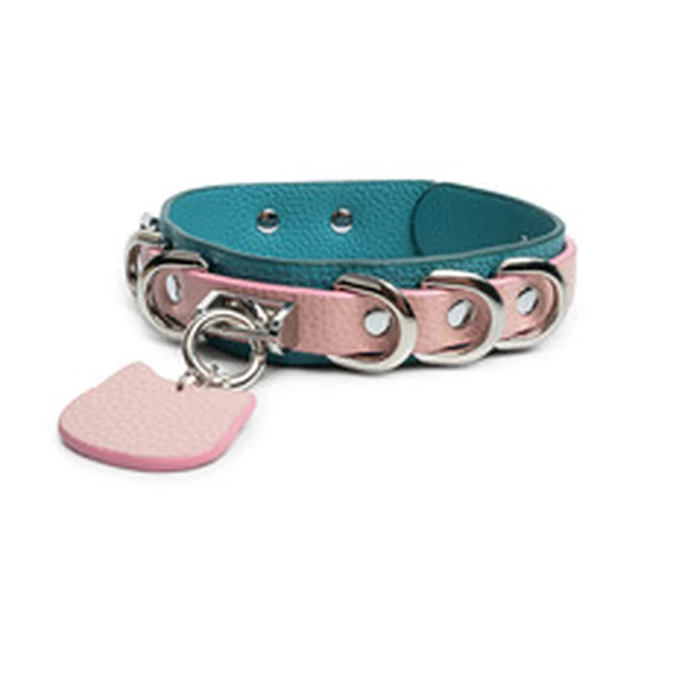 Engravable Cat-Tag Kitten Pet Play Collar with Leash - product image 3