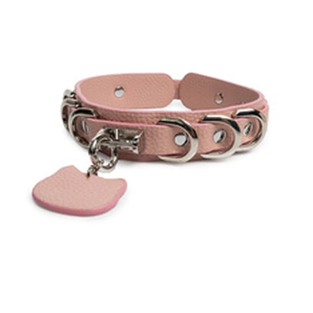 Engravable Cat-Tag Kitten Pet Play Collar with Leash - product image 1