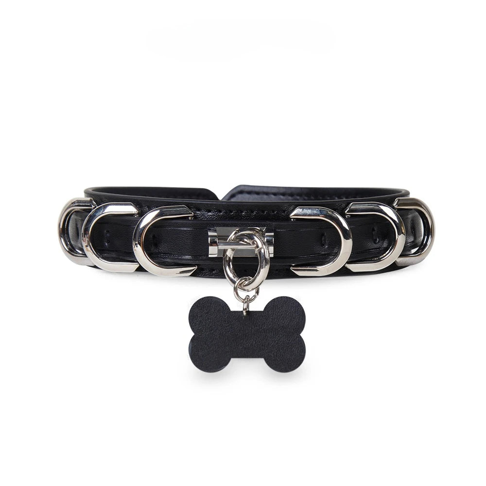 Bone-Tag Puppy Puppy Play Collar with Leash - product image 1